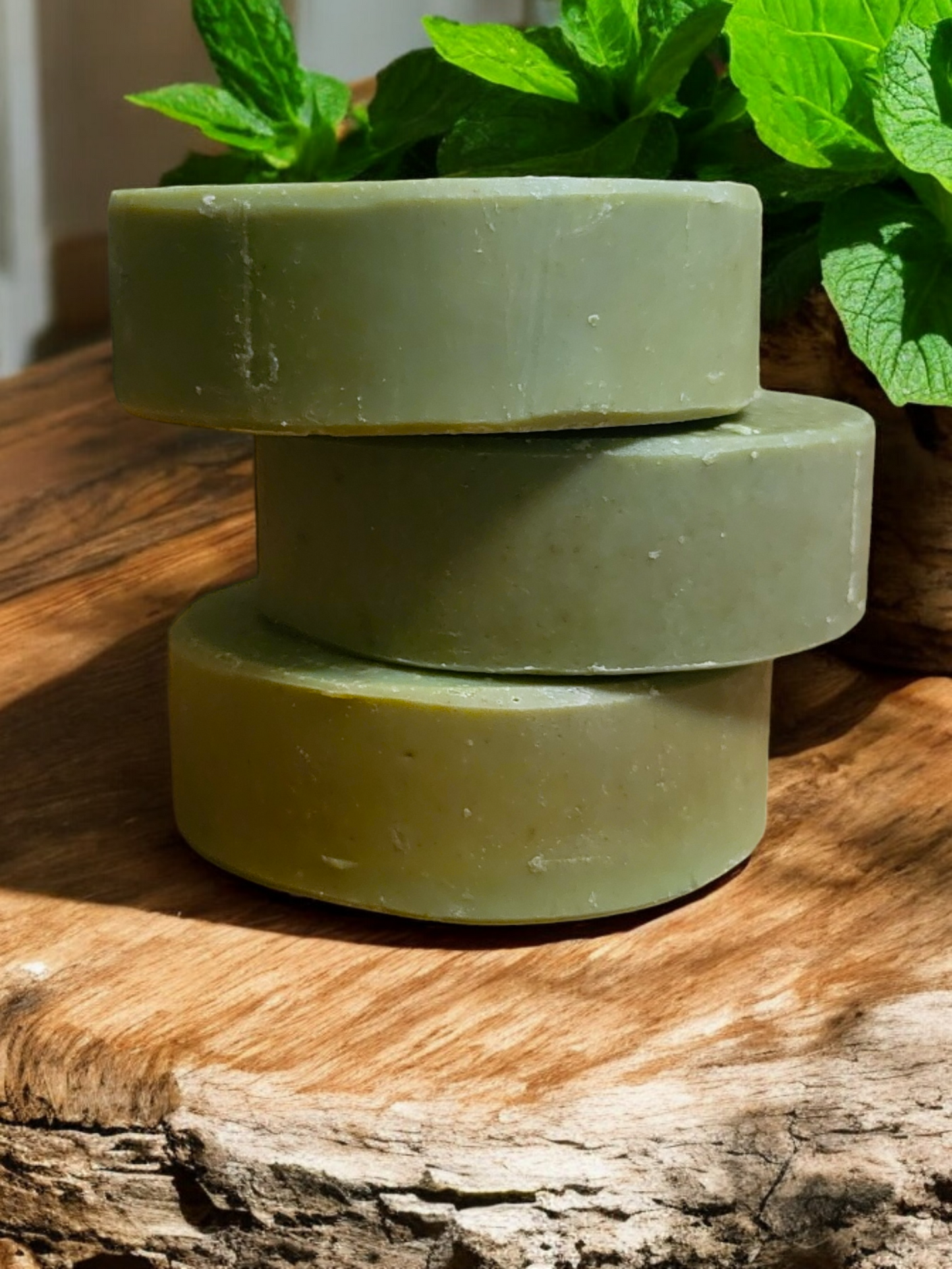 Eco-Friendly Shampoo Bars