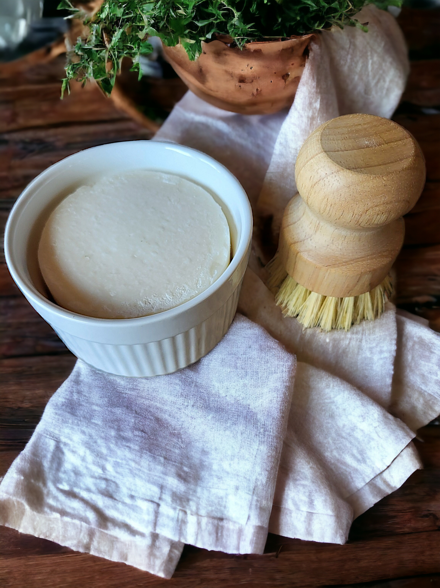 Eco-friendly Solid Dish Soap Kits