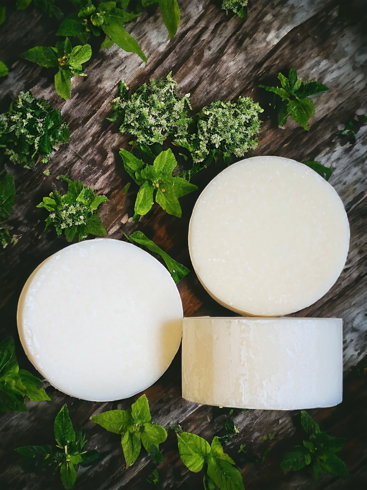 Eco-friendly Solid Dish Soap Kits